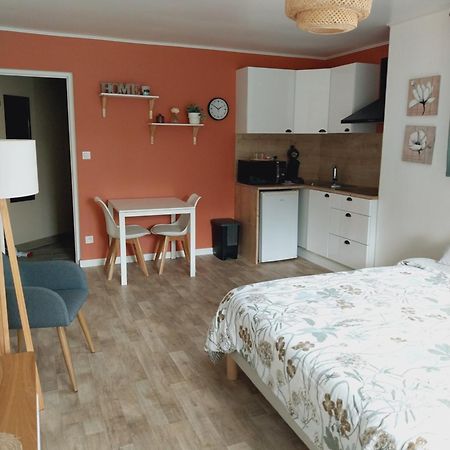 Superbe Grand Studio Tout Confort Avec Exterieur Poussan Kültér fotó